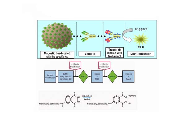 Mengungkap Ketepatan Chemiluminescence Immunoassay dalam Diagnostik Modern
    