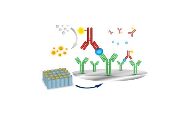 Memahami Tes Chemiluminescence: Aplikasi dan Pentingnya